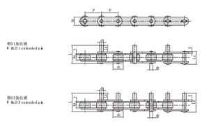 Conveyor Chains with Extended Pins