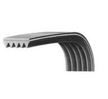 Poly-rib Belt