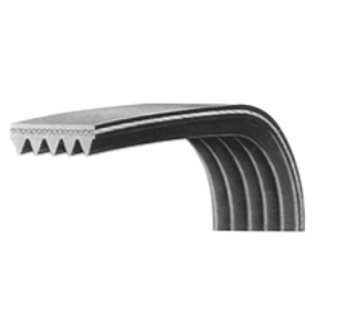 Poly-rib Belt