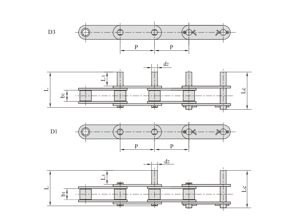 Stainless steel double pitch conveyor chains with extended pins产品图纸1