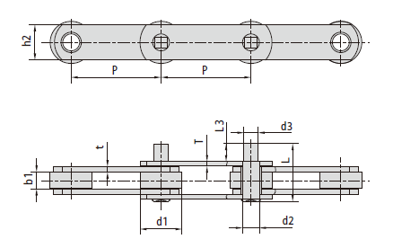 Conveyor chains with extended pins (M series)
